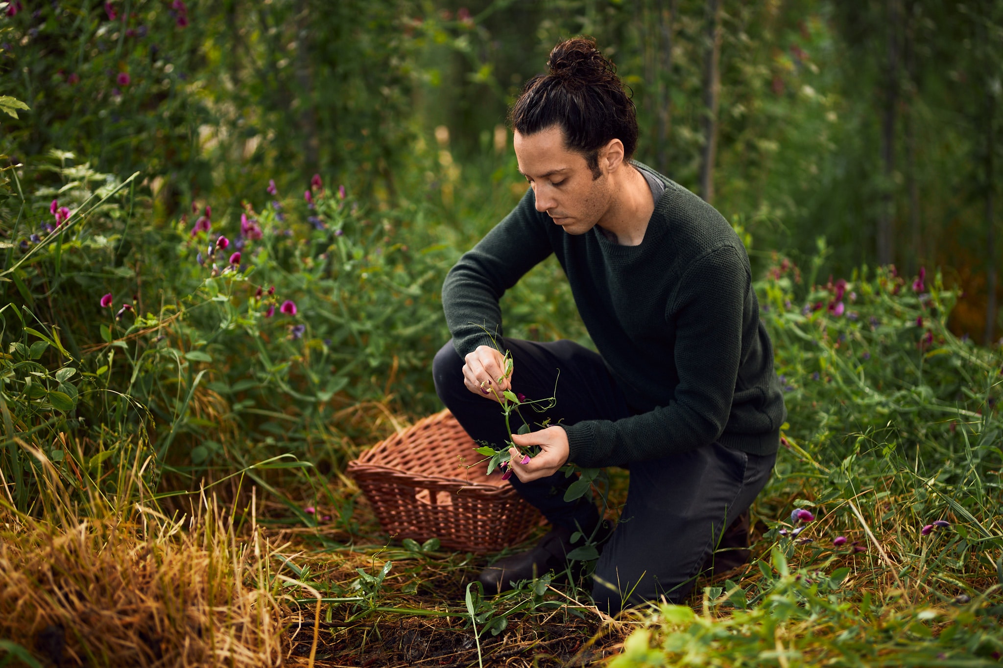 Chef Kane Pollard foraging